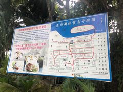 -东郊椰林