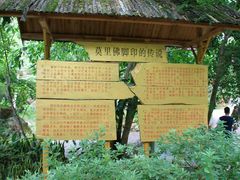 -莫里热带雨林景区