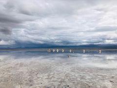 -青海湖国家重点风景名胜区售票处