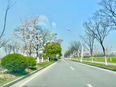 -无锡新湖铂尔曼大酒店