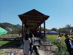 -红山村
