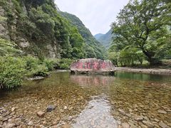 -水墨汀溪风景区