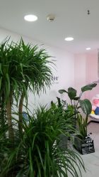 -久匠·野生眉半永久纹眉