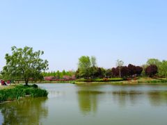 -西安浐灞国家湿地公园