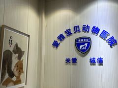 -中农大我爱我爱24h动物医院·中医针灸·猫专科·骨科医疗中心(双井店)