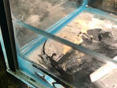 -锦艺城海洋馆