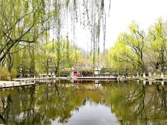 -玲珑塔公园