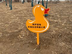 -东郊湿地公园