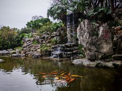 -柳侯公园