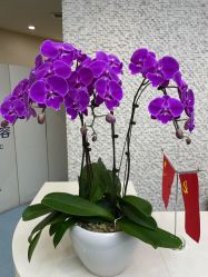 -重庆联合丽格第五医疗美容医院