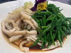 沙葱羊肚-紫泥369粗粮季(鼓楼店)