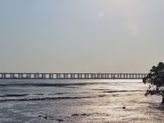 -宝安西湾红树林湿地公园