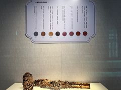 -旅顺博物馆