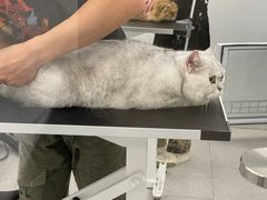 -comecome来吧宠物(奥克斯中心店)