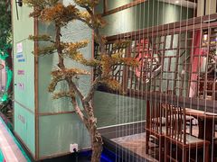 -松沪名灶·豆浆鱼头·新上海菜(飞航吾悦广场店)