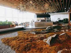 -Seesaw Coffee(朝阳大悦城店)