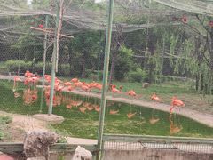 -石家庄市动物园