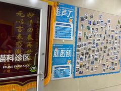 -谐和益家动物医院·免疫绝育·血液透析·宠保定点医院(高新伊藤分院)