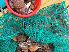 -那香海钻石沙滩浴场