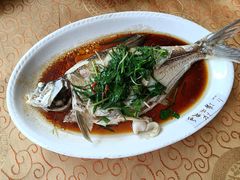 -水上鱼当家