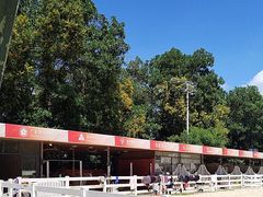 -名驭国际马术学院