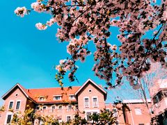 -天津五大道文化旅游区