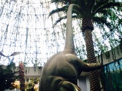 -西峡恐龙遗迹园