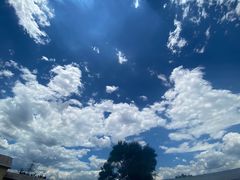 -北京群众马术培训基地