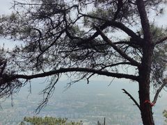 -缙云山景区