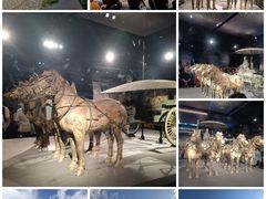 -秦始皇帝陵博物院-丽山园