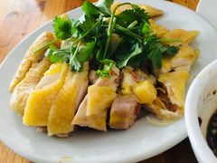白切鸡-九叔鸡饭(升平街店)