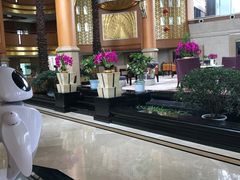 -鱼凫国都大酒店温泉