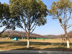 -羊山湖公园