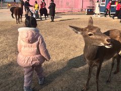 -达蓬山星梦乐园