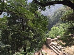 -北京鹫峰国家森林公园