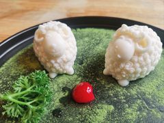 -蒙料·手把肉(望京店)