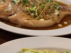 -绿光森林餐厅