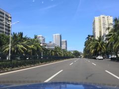 -万绿园