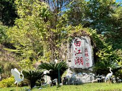 -广州白江湖森林公园