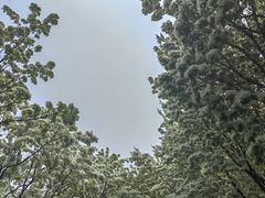 -泰丰公园