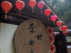 -天目湖山水园