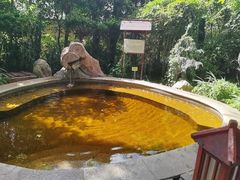 -金穗园温泉酒店