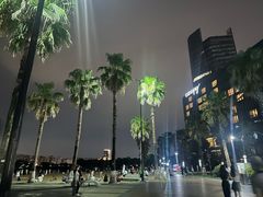-金沙湖公园