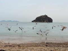 -棒棰岛宾馆景区