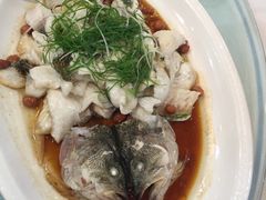 -蒲园食堂(中山大学广州校区南校园店)