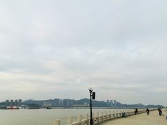 -野狸岛