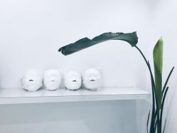 -紫御国际抗衰ZOE ANTI AGING
