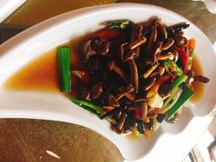 竹海野菌-竹野·上|老字号全竹宴