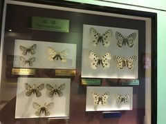 -上海昆虫博物馆