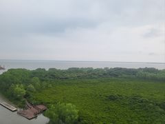 -东寨港红树林旅游区